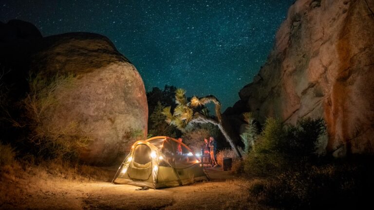 Take a Camping Trip in the Desert to Get Over the Winter Blues