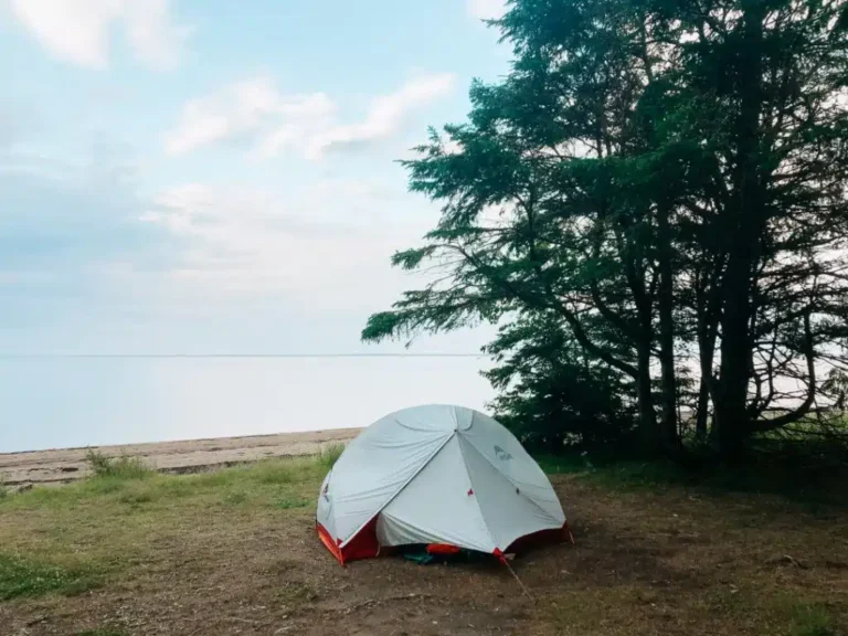 Camping 101: The Complete Beginner’s Guide on Camping